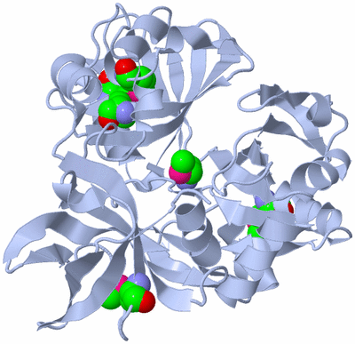 Image Biol. Unit 1 - sites