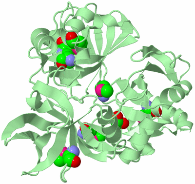 Image Biological Unit 2