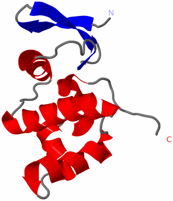 Image NMR Structure - model 1