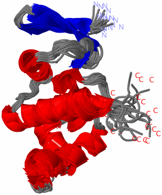 Image NMR Structure - all models