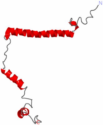 Image NMR Structure - model 1
