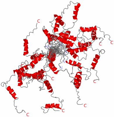 Image NMR Structure - all models