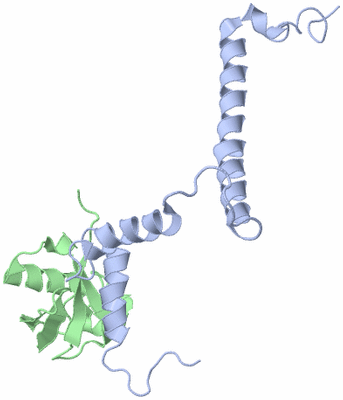 Image NMR Structure - model 1