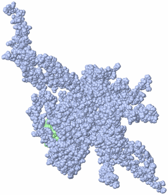 Image NMR Structure - all models