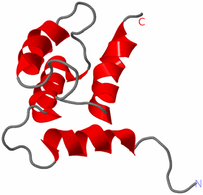 Image NMR Structure - all models