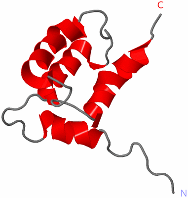 Image NMR Structure - model 1