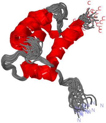 Image NMR Structure - all models
