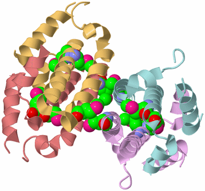 Image Biological Unit 2