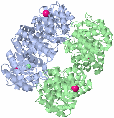 Image Biological Unit 1