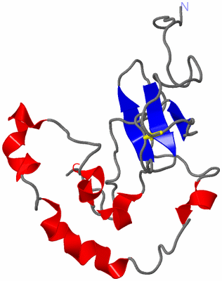Image NMR Structure - model 1