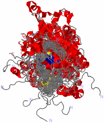 Image NMR Structure - all models