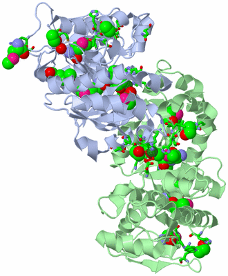 Image Asym./Biol. Unit - sites