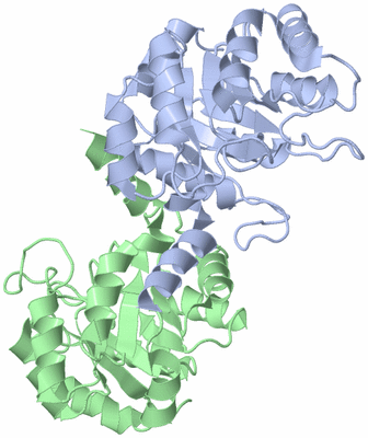 Image Biological Unit 3