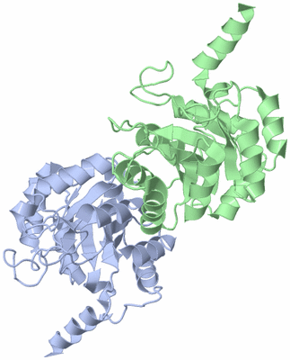 Image Biological Unit 4