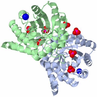 Image Asym./Biol. Unit