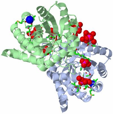 Image Asym./Biol. Unit - sites