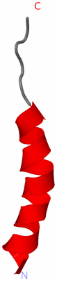Image NMR Structure - model 1