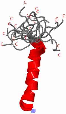 Image NMR Structure - all models