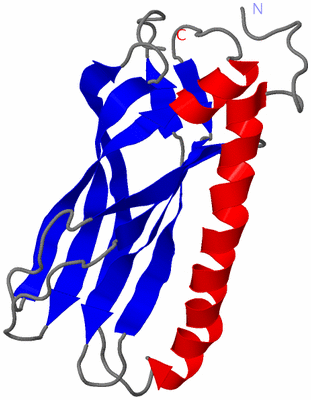 Image NMR Structure - model 1