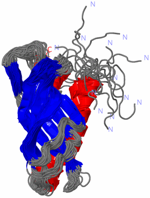 Image NMR Structure - all models