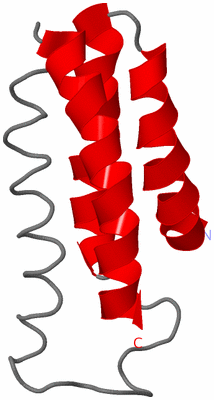 Image NMR Structure - model 1