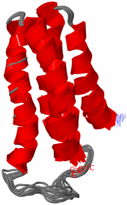 Image NMR Structure - all models