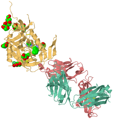 Image Biological Unit 1