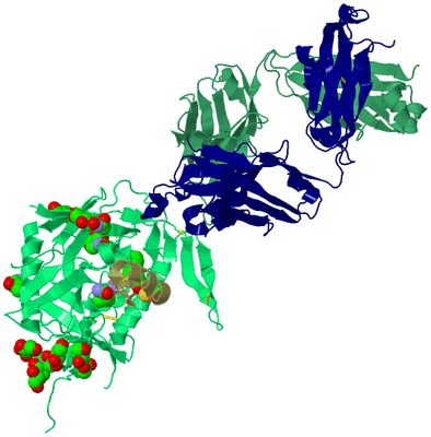 Image Biological Unit 2