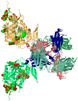 Image Asym. Unit - sites