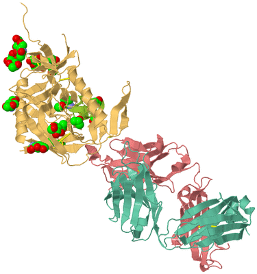 Image Biological Unit 1