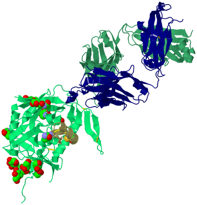 Image Biological Unit 2