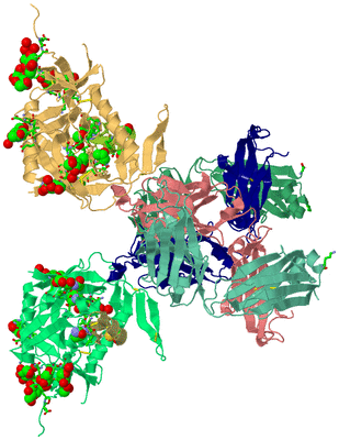 Image Asym. Unit - sites