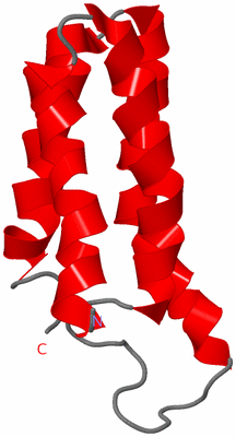 Image NMR Structure - model 1
