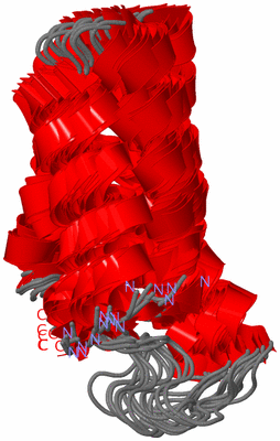 Image NMR Structure - all models