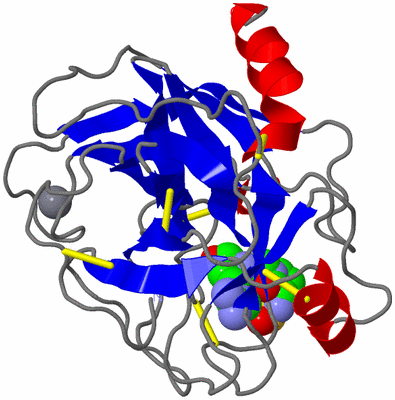 Image Asym./Biol. Unit