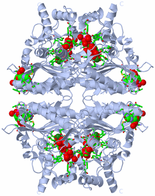 Image Biol. Unit 1 - sites