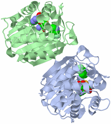 Image Asym./Biol. Unit