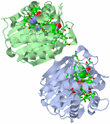 Image Asym./Biol. Unit - sites