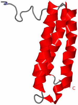 Image NMR Structure - model 1