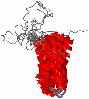 Image NMR Structure - all models