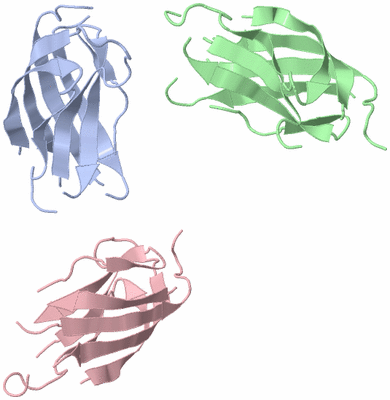 Image Asymmetric Unit