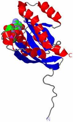 Image Asym./Biol. Unit