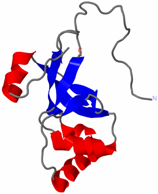 Image NMR Structure - model 1