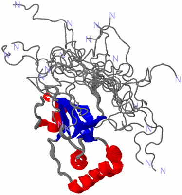 Image NMR Structure - all models