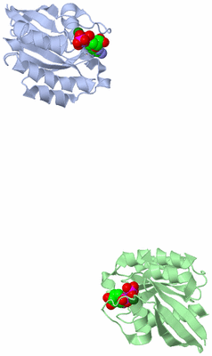 Image Asymmetric Unit