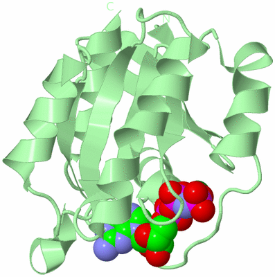 Image Biological Unit 2
