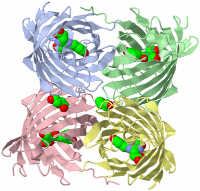 Image Asym./Biol. Unit