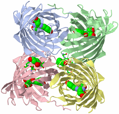 Image Asym./Biol. Unit - sites