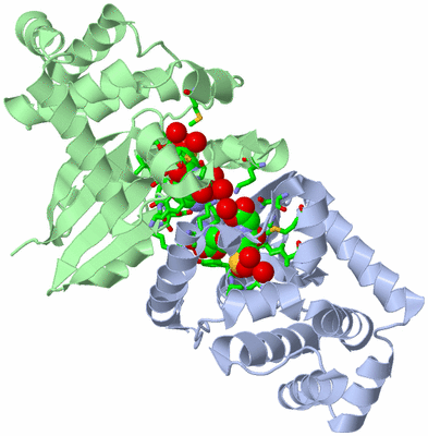 Image Asym./Biol. Unit - sites