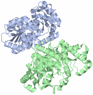 Image Asymmetric Unit